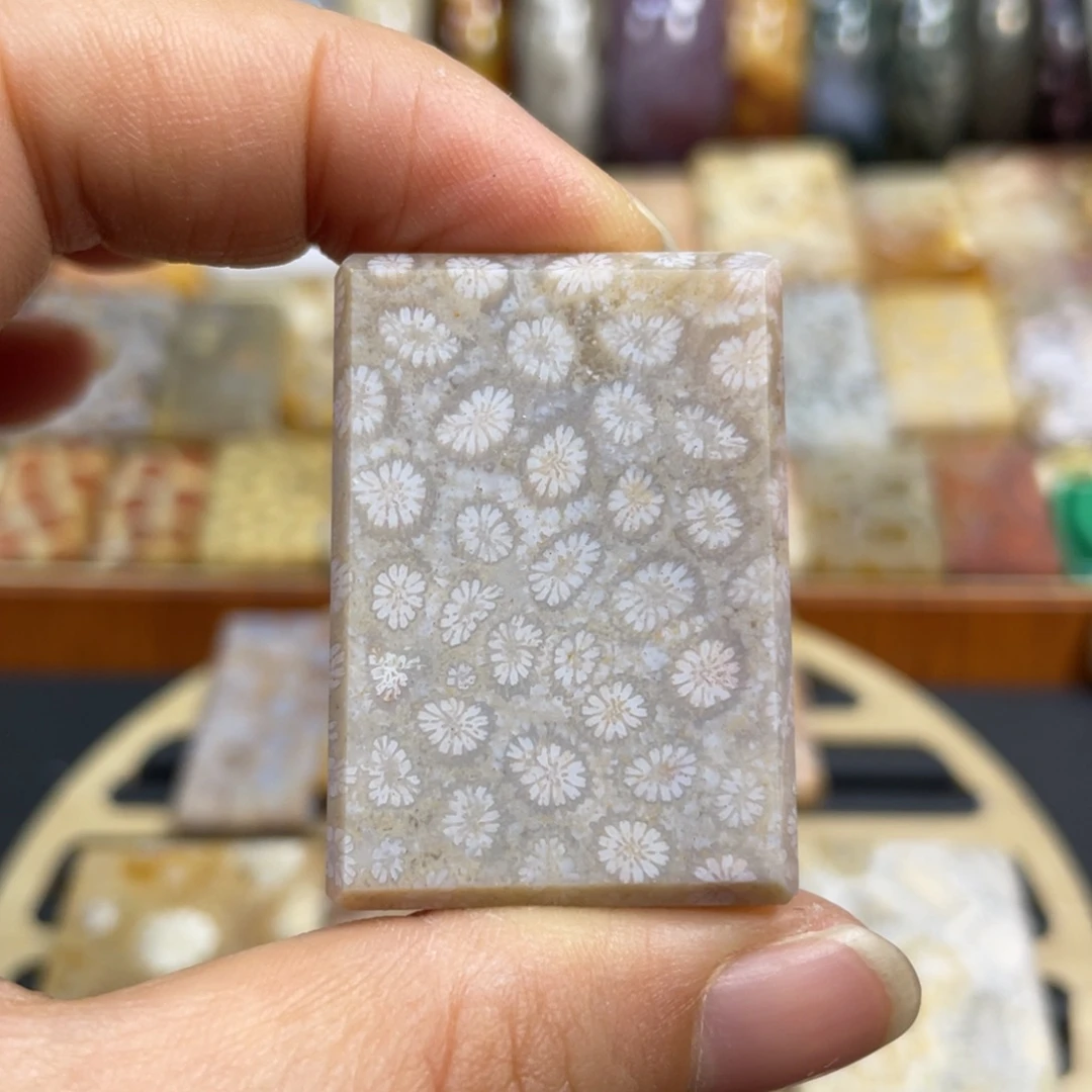 硅化玉未镶嵌颈饰k43