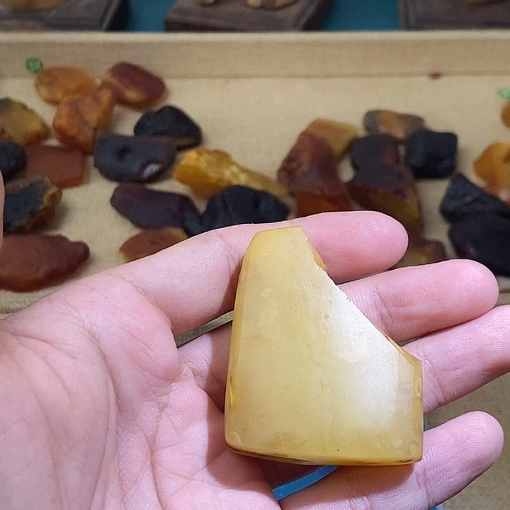 红***鱼琥珀未镶嵌裸石蜜蜡