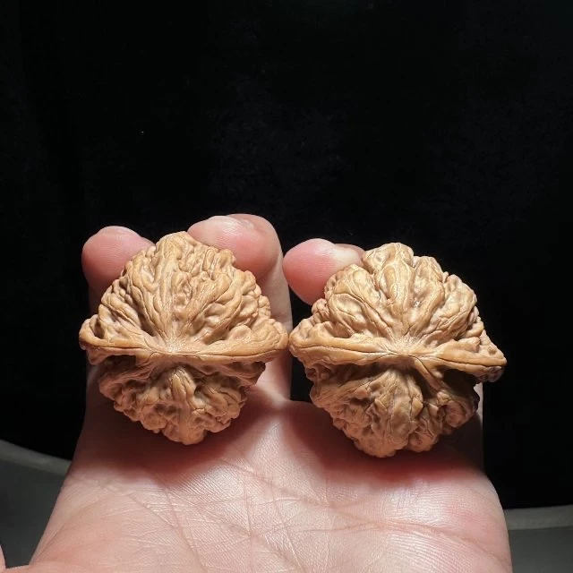 【老胡涞水麻核桃协会】10 G68825-九龙狮子头核桃-尺寸38-39mm