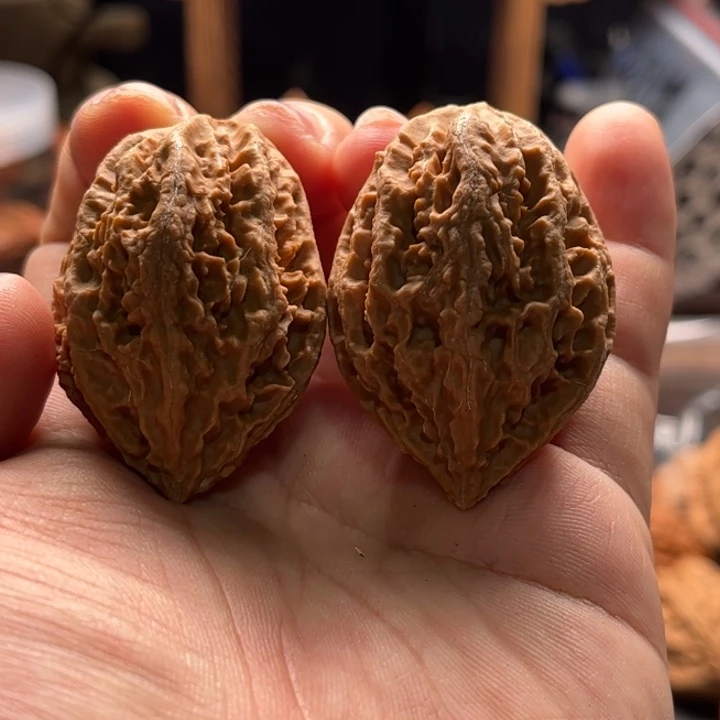 文玩核桃把件楸大胖96