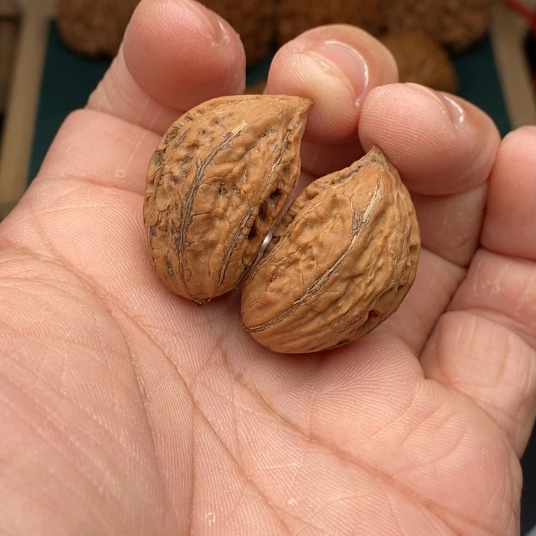 核桃把件秋子半壁