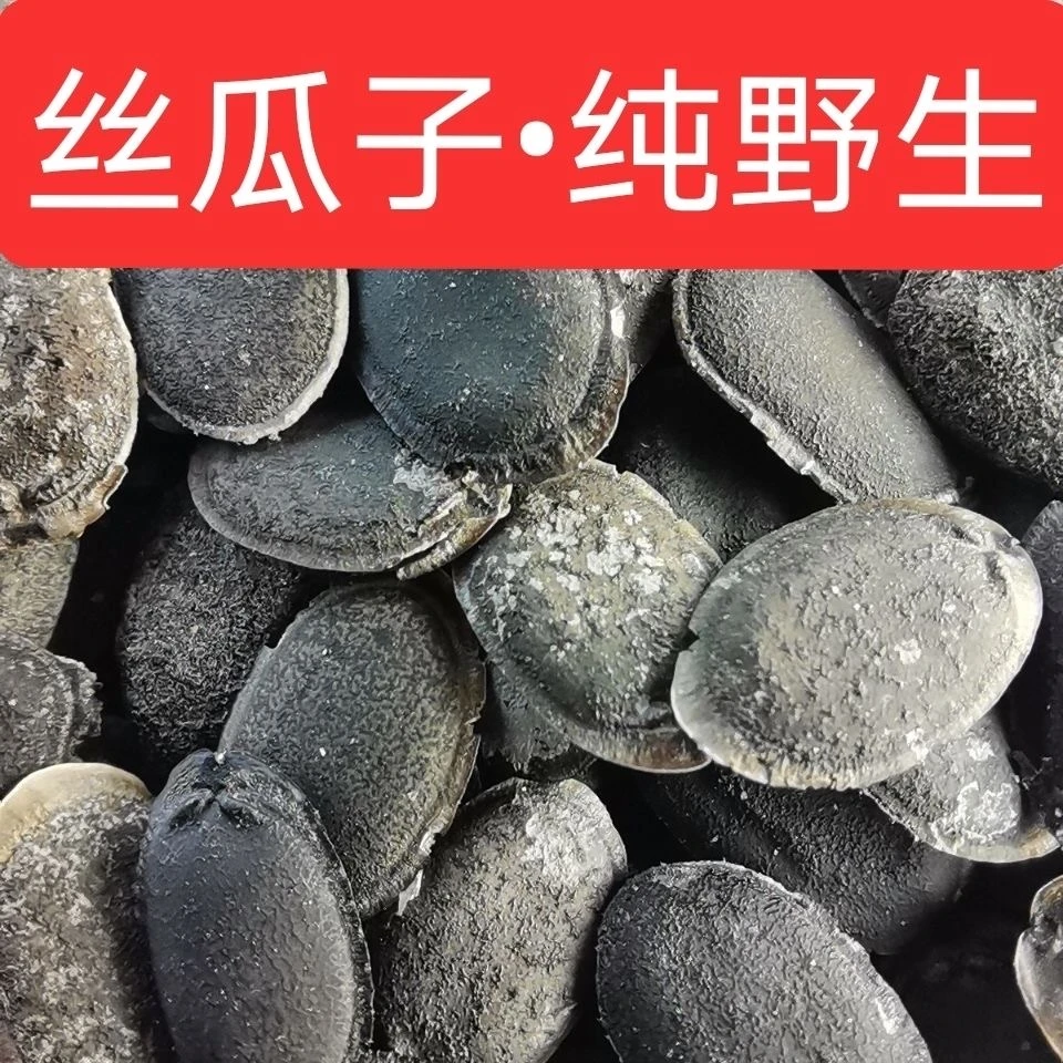 【生鲜冷链】农家妈妈现摘现发野生200g新鲜生丝瓜子丝瓜籽熟丝瓜籽