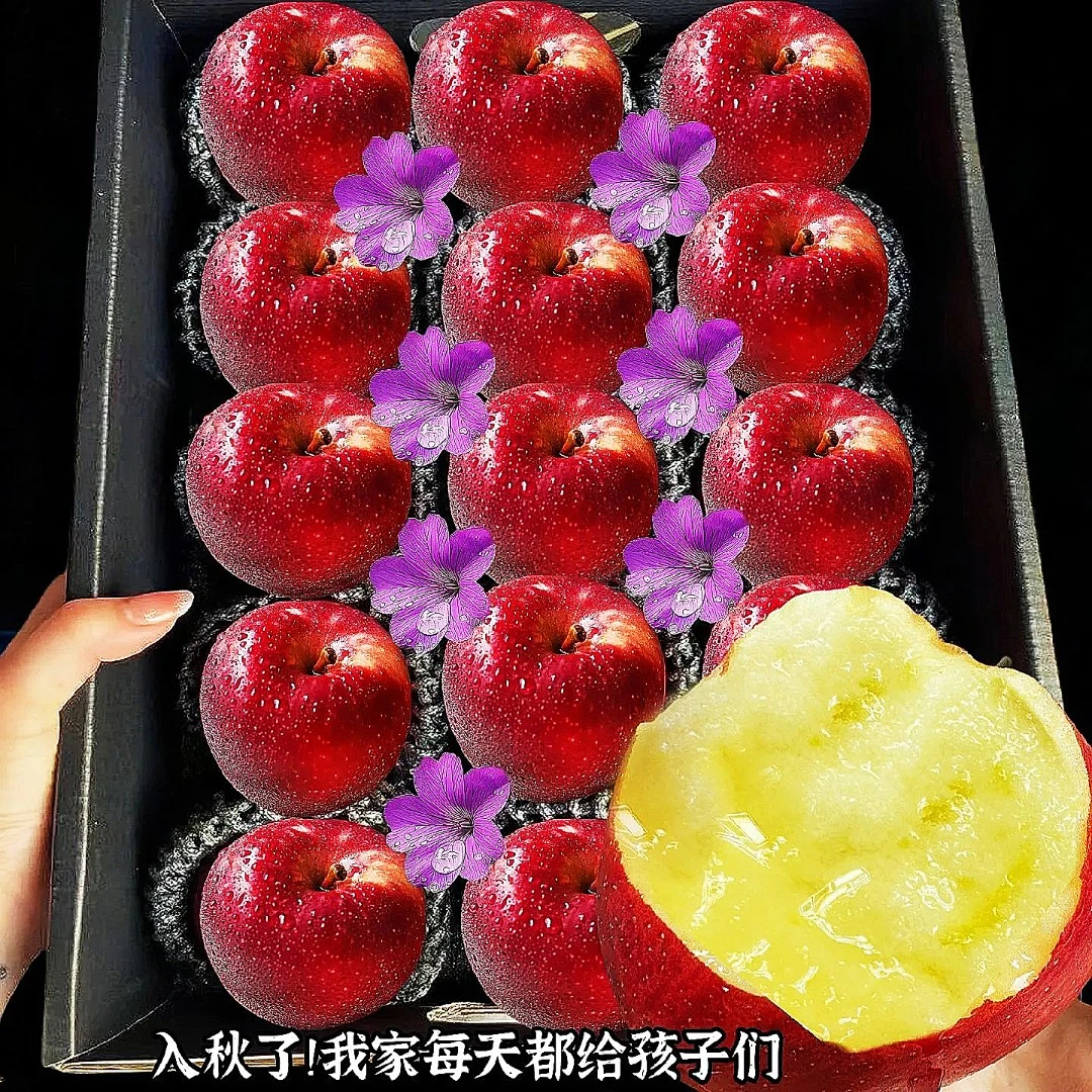 【不打蜡脆甜多汁】云南丑苹果 现摘现发 脆甜爽口个味浓产地直发