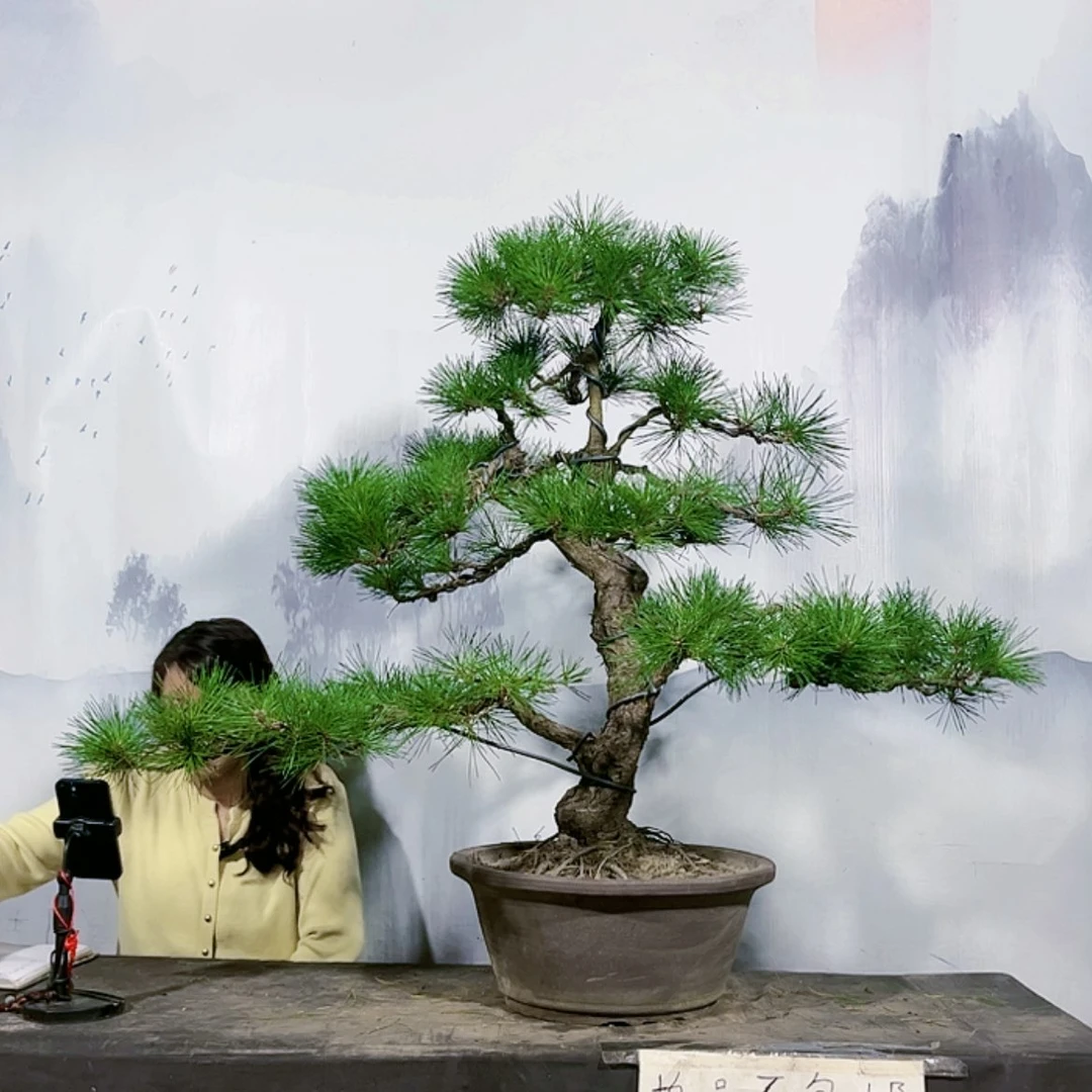 【闪购商品】无花朵包邮