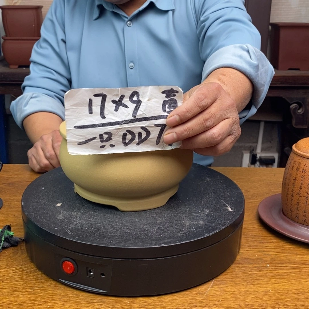红陶DD74 货号一只