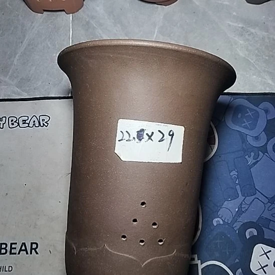 莲花金钟一个花盆