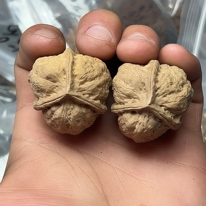 核桃64号开背三楞35尺