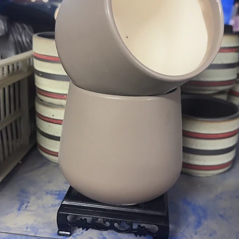··2盆++2个塑料托盘··4006