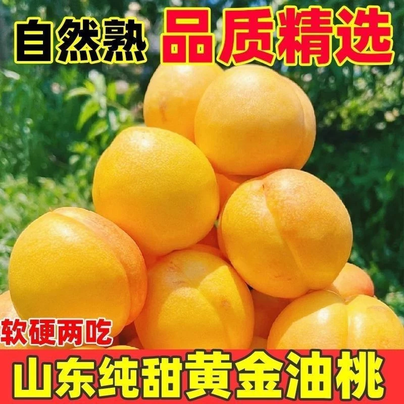 蒙阴油桃新鲜现摘现发表皮无毛脆甜多汁