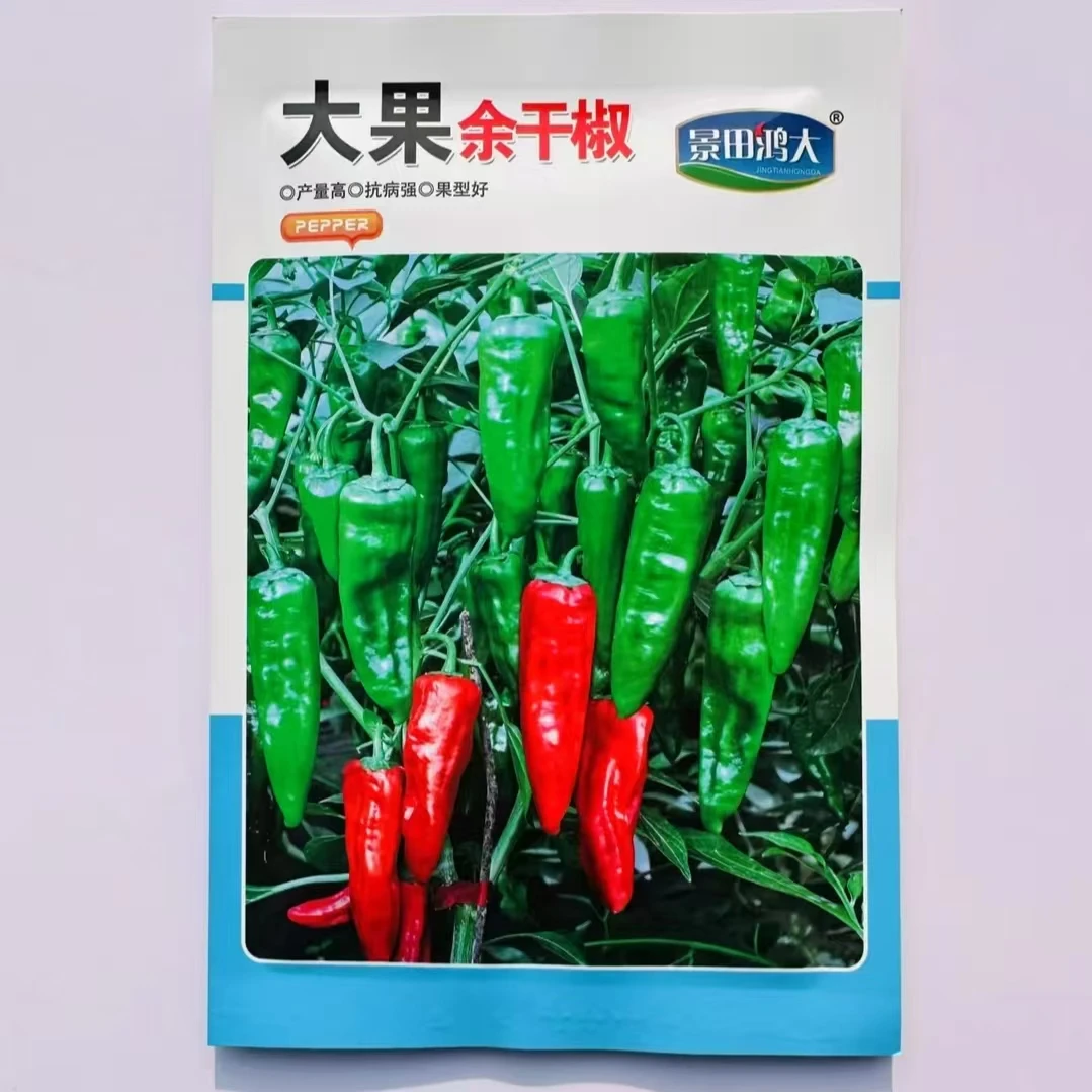 正宗余干辣椒特辣辣椒苗土辣椒薄皮枫树辣椒特辣新鲜辣椒庭院植物
