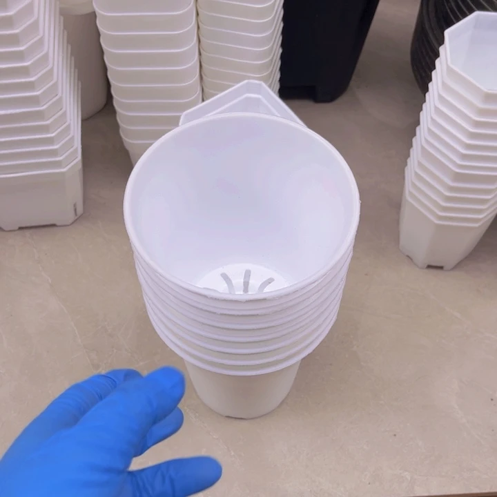 白万象口11高12一组10个