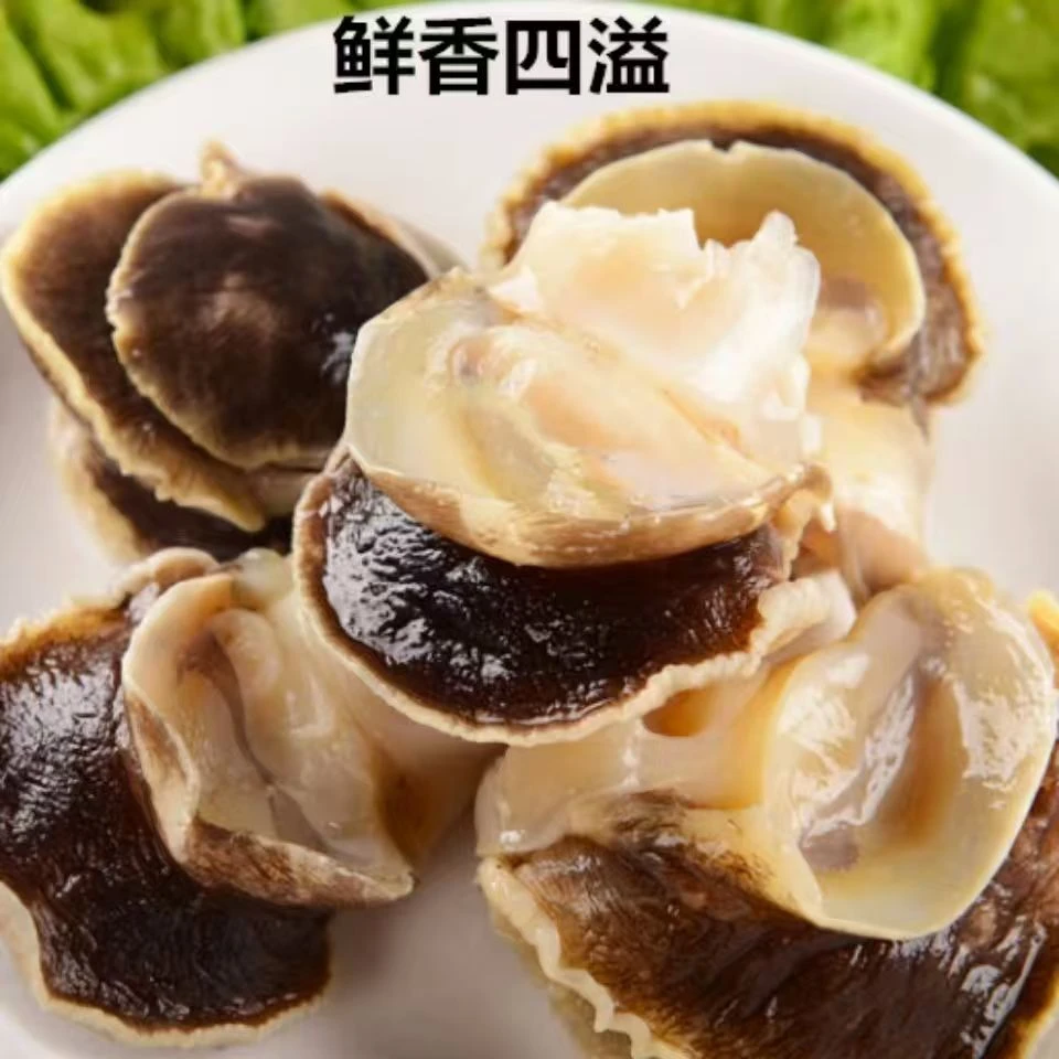 【渤海湾无冰海螺肉】熟冻去壳去内脏无沙 顺丰包邮