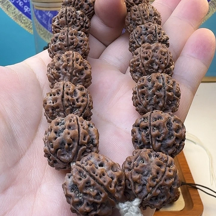 金刚菩提手串原生态大金刚双龙
