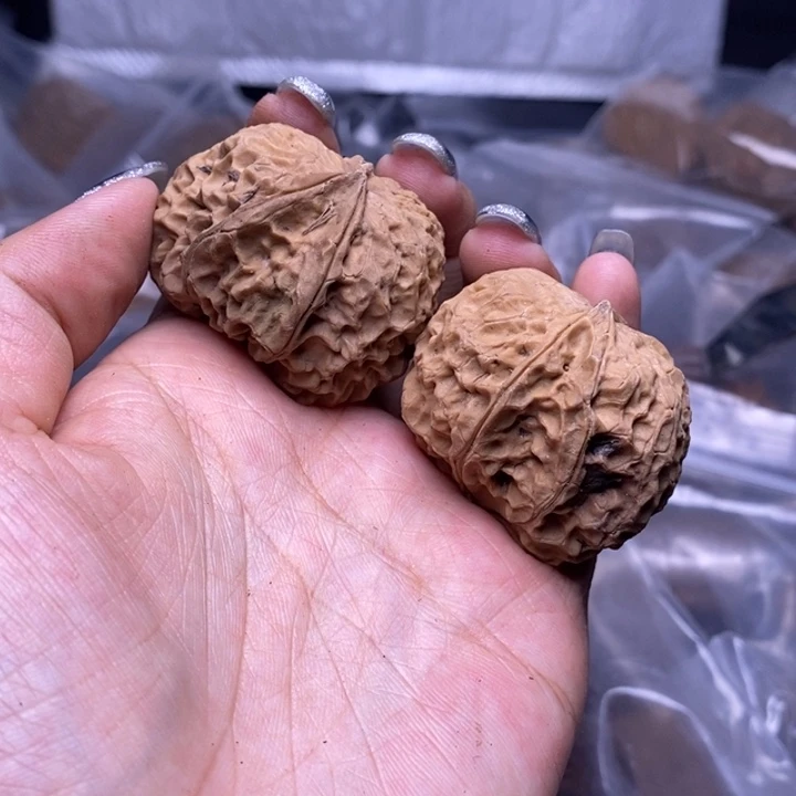 核桃云南野生铁核桃47号40mm