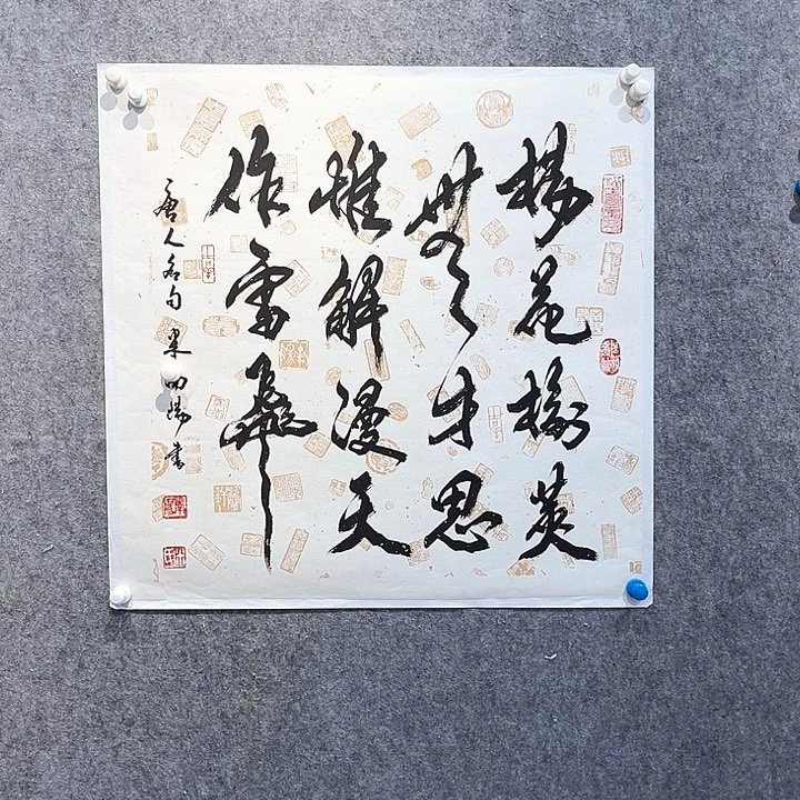 书法南阳作品欣赏