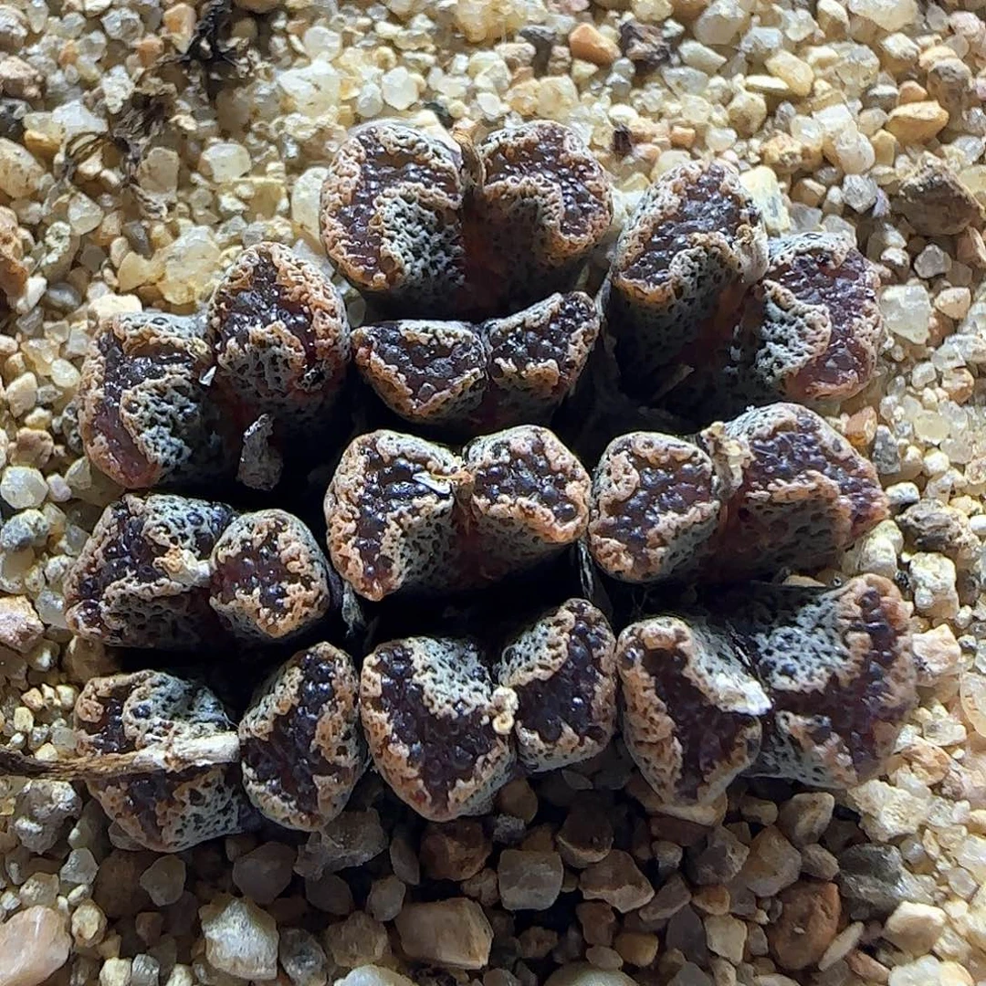 哈哈哈哈哈哈哈57450