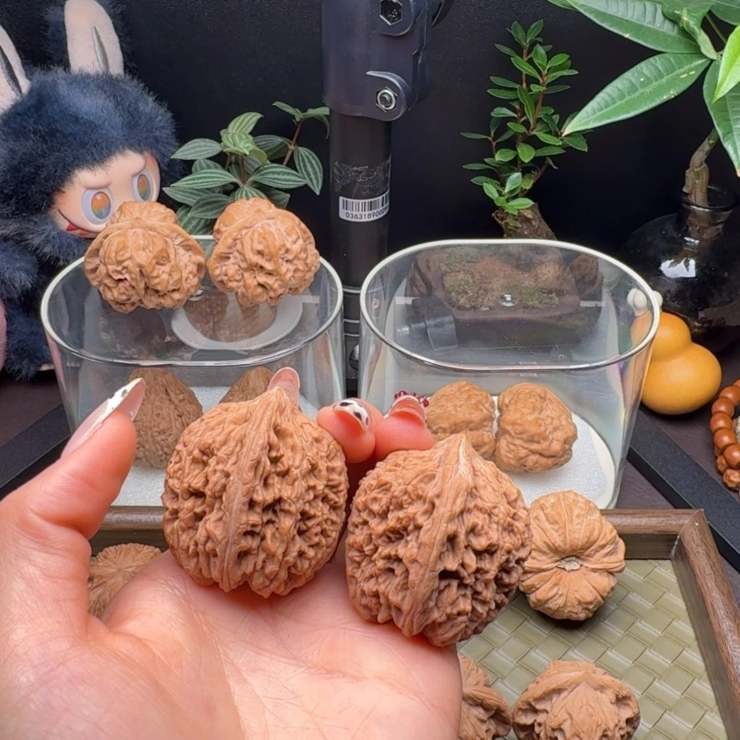 龙脊菩提把件全品大蒜头37