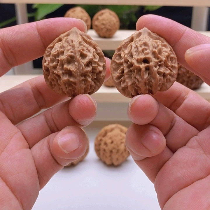 凤凰台全品33/33/35