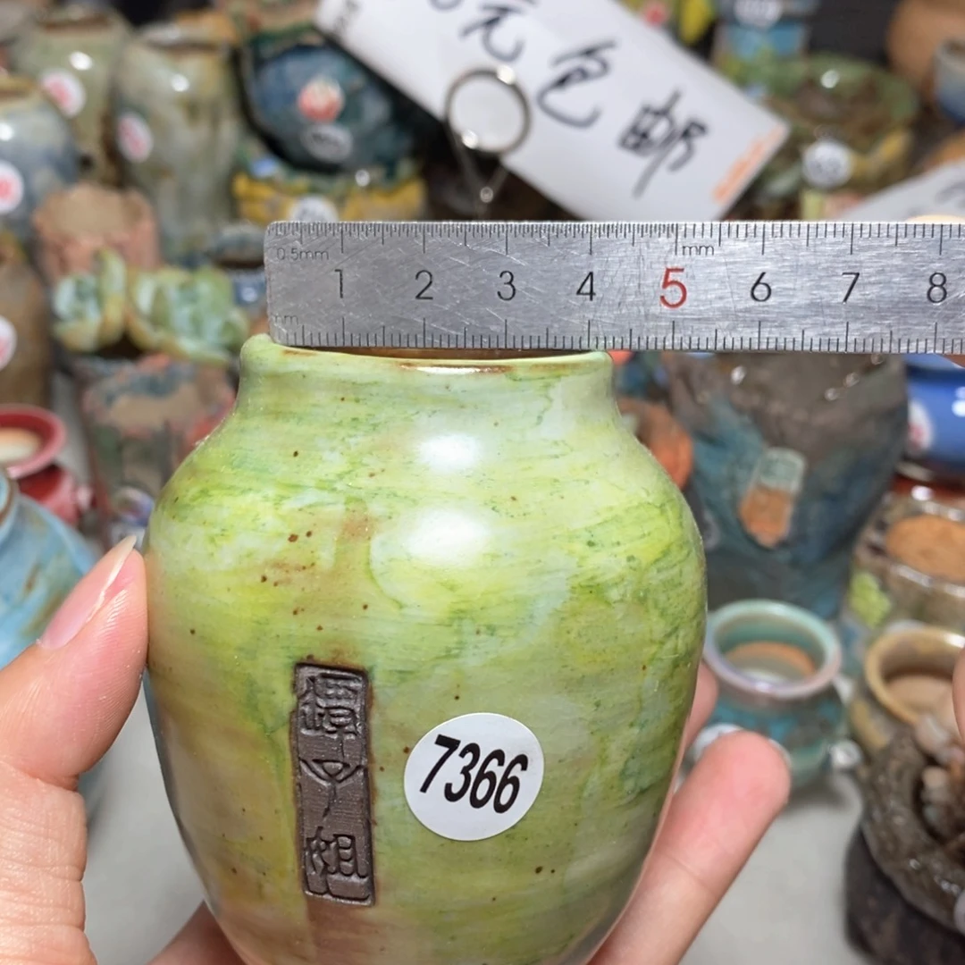 拍3送一个小礼物