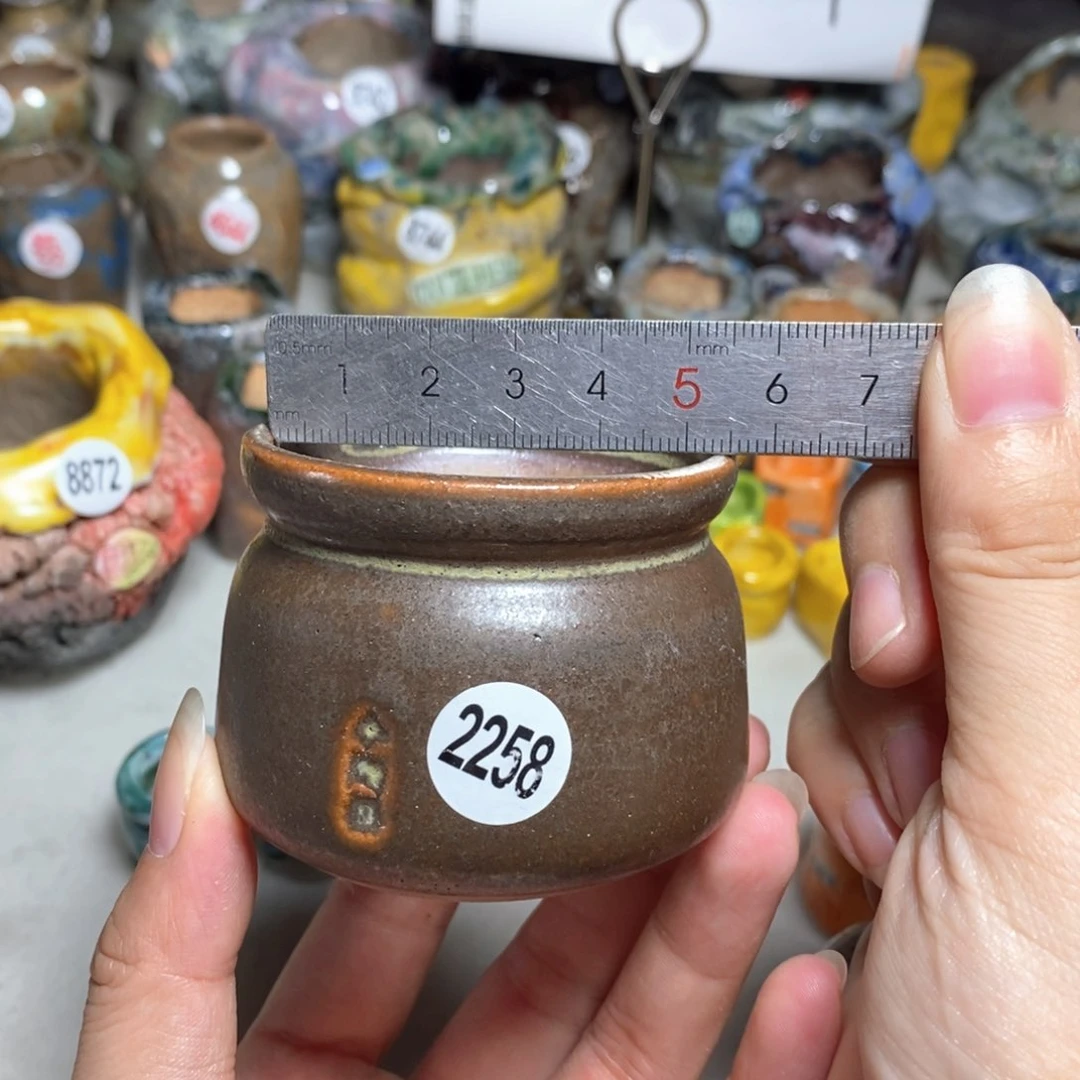 拍5送一个小礼物