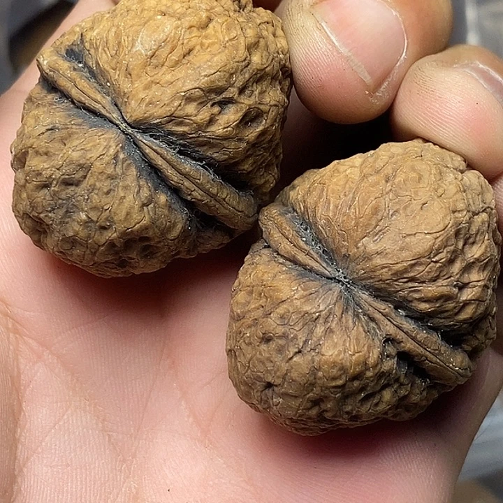 把件文玩核桃云南铁核桃B38