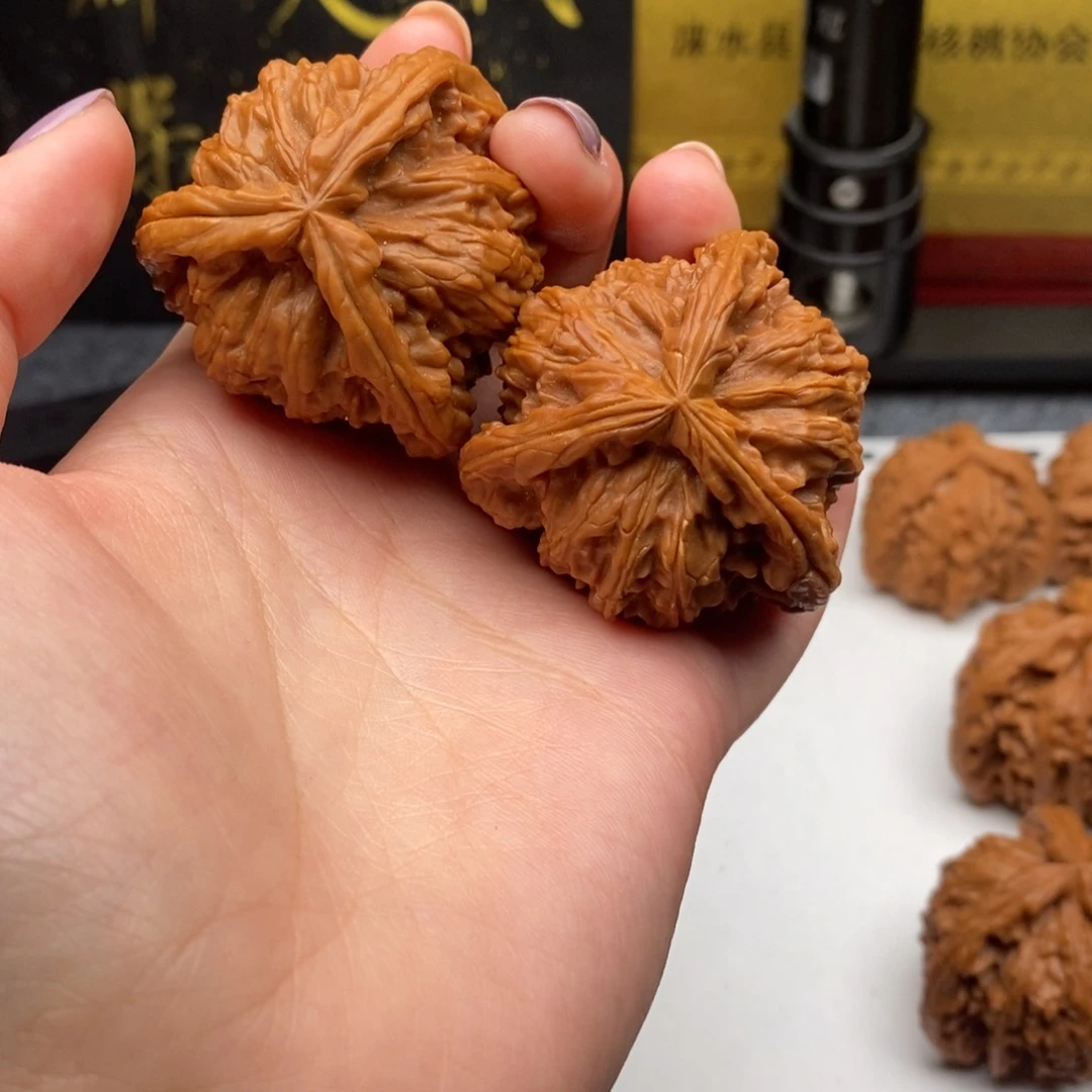 ?****君 白狮子凄凄切切凄凄切切