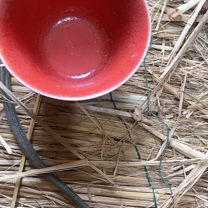 【闪购商品】摆件我们的确是一个人的时候也是这样