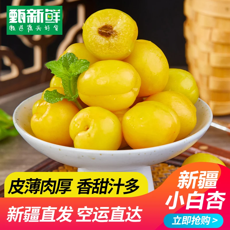 【京东空运直发】新疆轮台小白杏2/3斤装新鲜采摘产地直发香甜软糯
