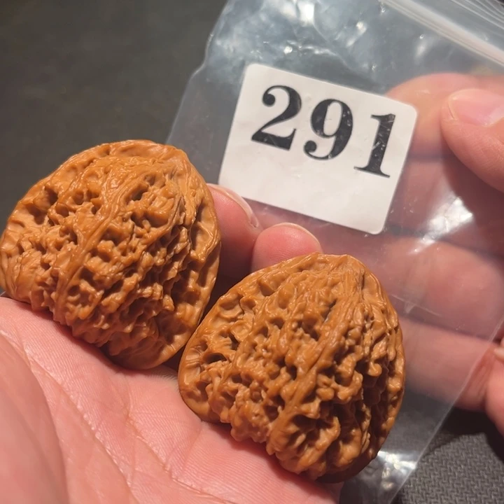 核桃11111111111111111111