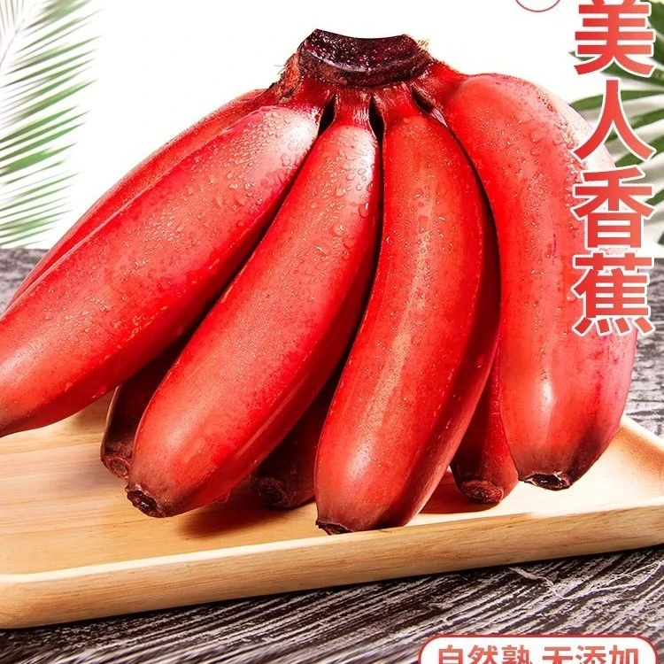 海南红美人香蕉红香蕉紫色香蕉当季红皮美人蕉芭蕉孕妇3/8斤礼盒