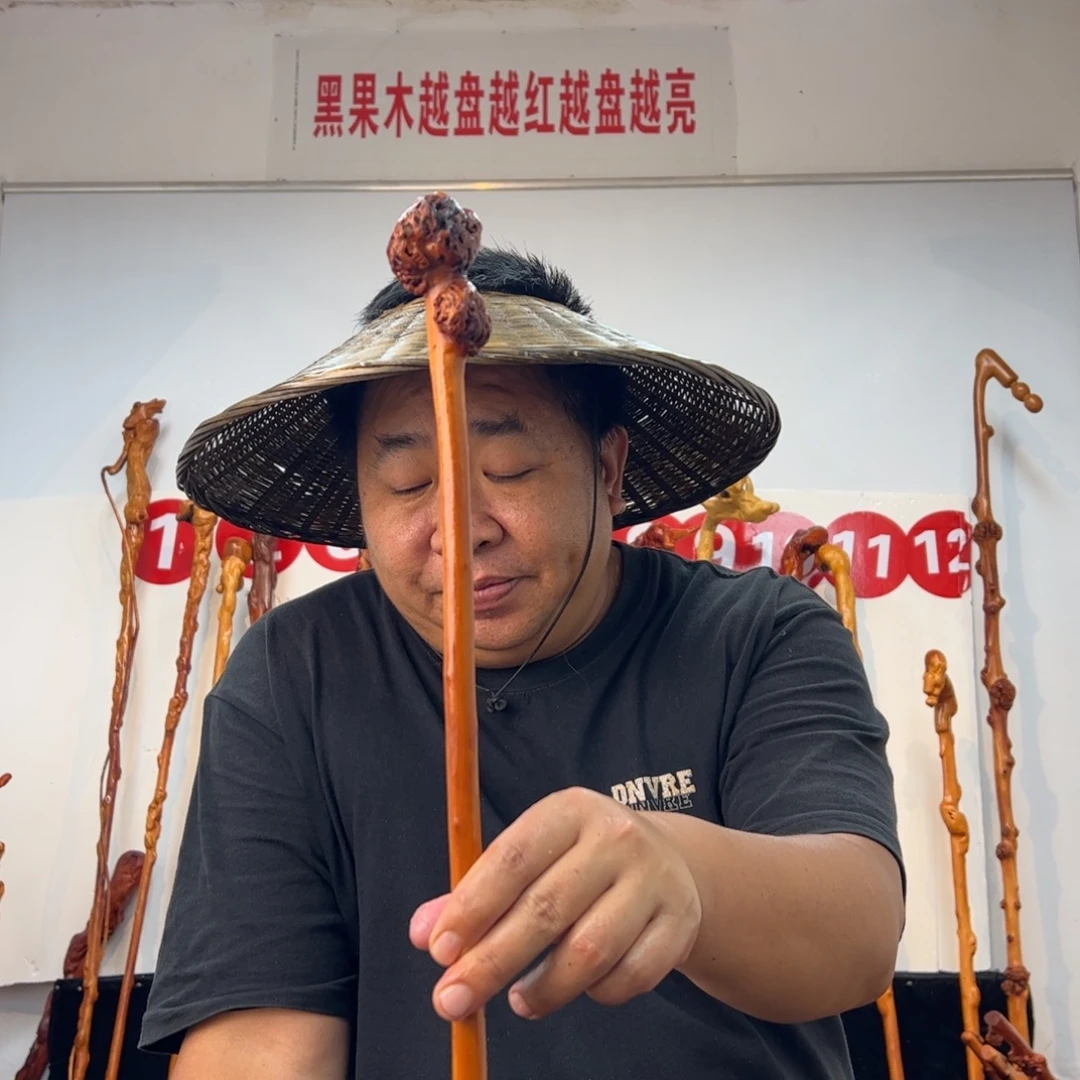 阿***宝黑果木其他黑果木918