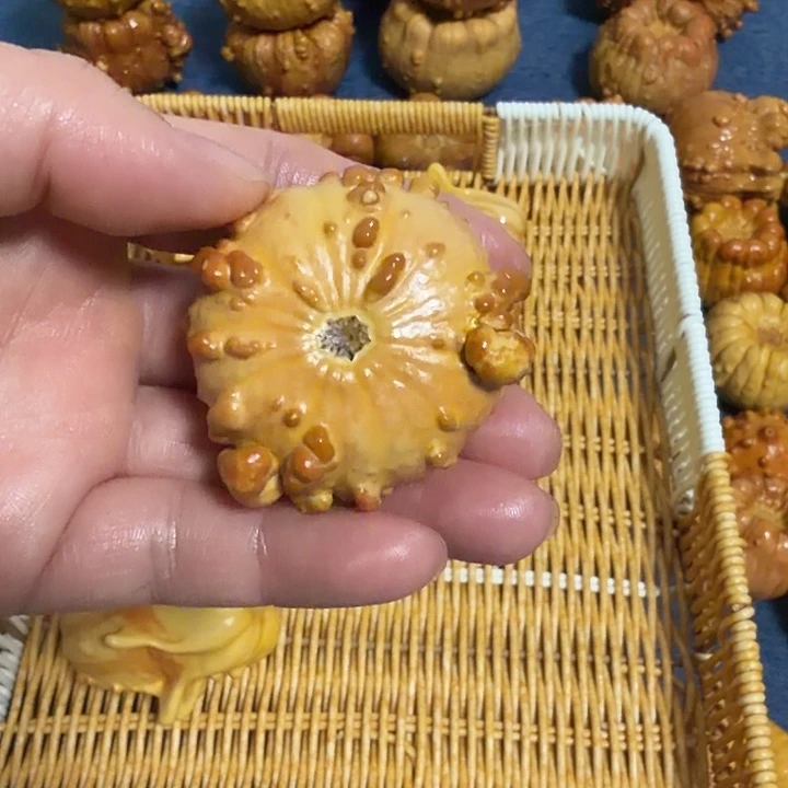 ****子墨西哥七彩疙瘩葫芦