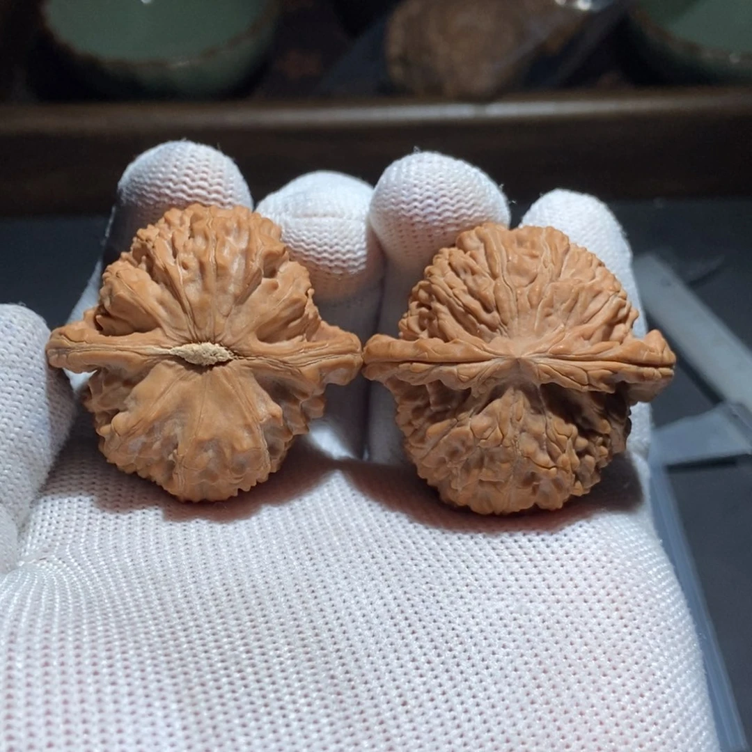 时***转文玩核桃吊坠白狮子