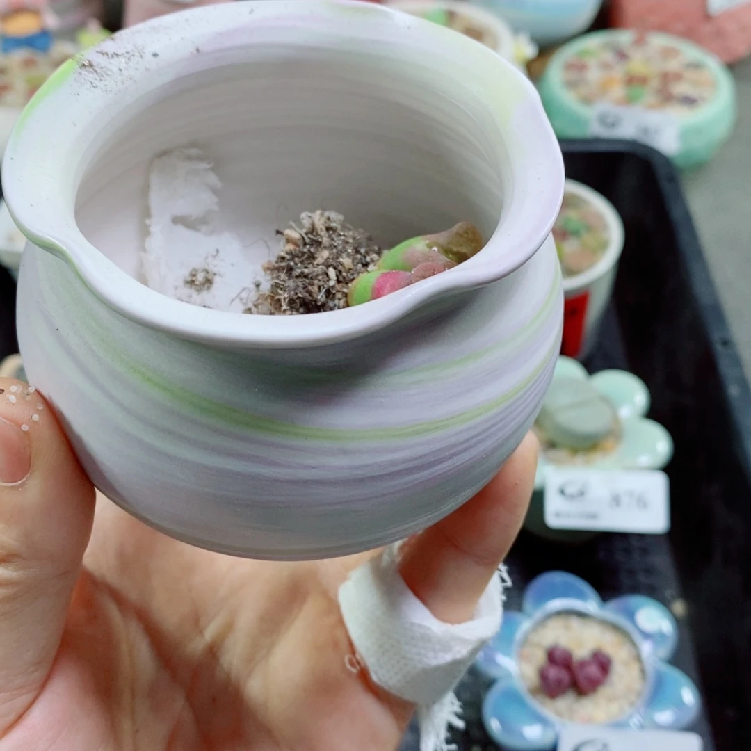 小*其实哈哈哈哈哈哈哈21