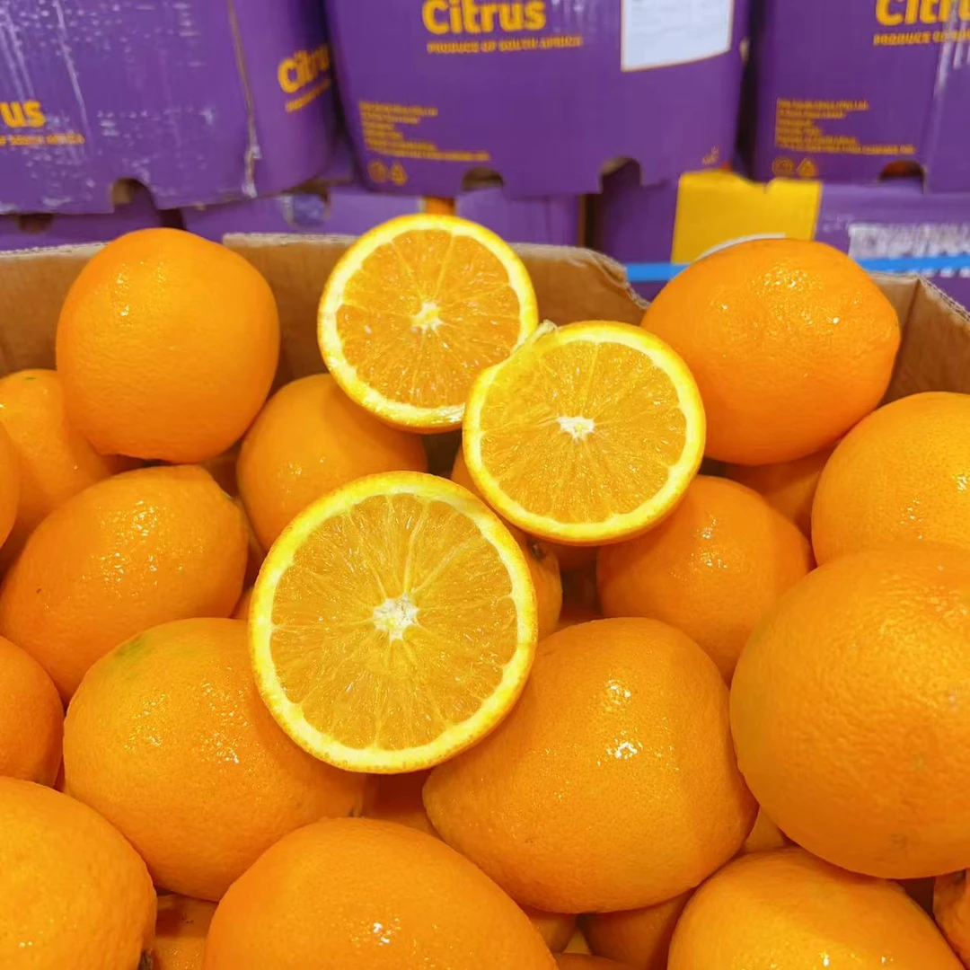 《丹选》南非金巴利橙 5斤左右 顺丰包邮 水果生鲜食用