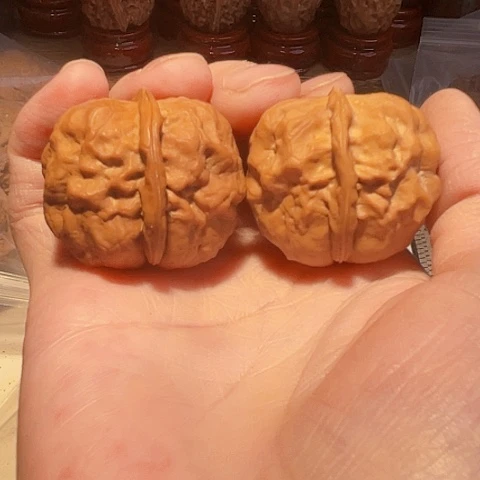 把件文玩核桃祥龙疙瘩包带彩磕尖37