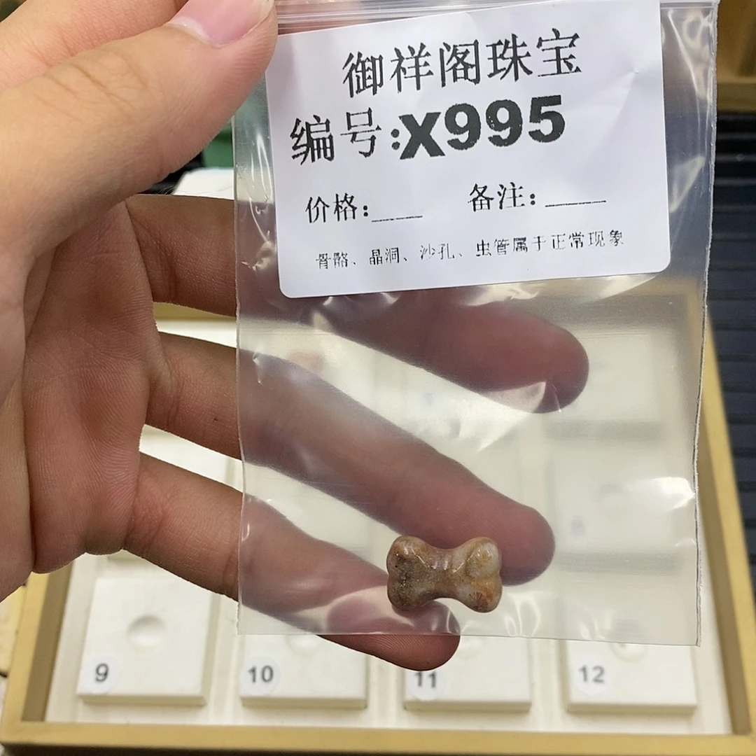 硅化珊瑚（珊瑚玉）未镶嵌颈饰し***.