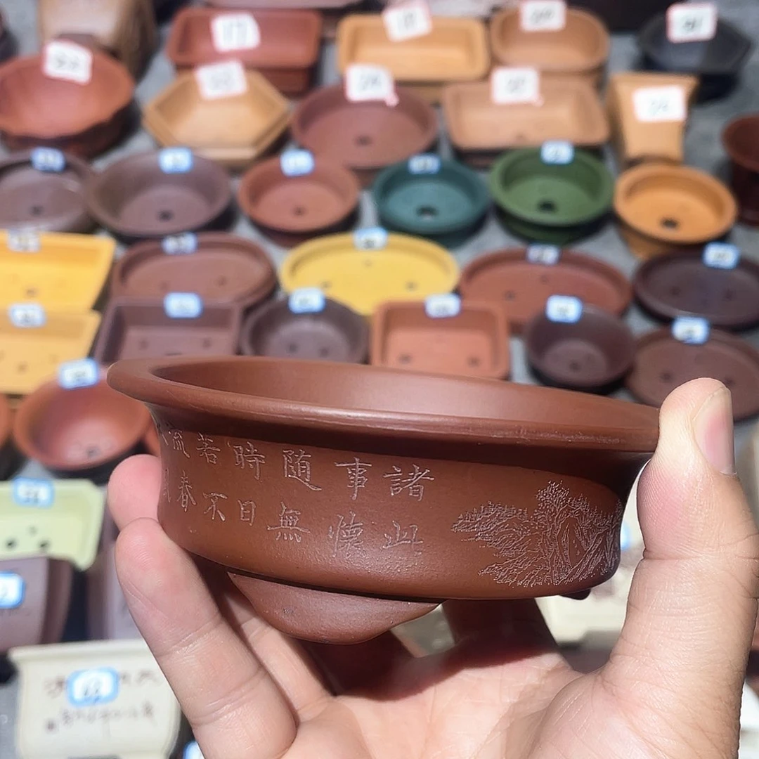 紫砂小盆10*2.5cmmmmmm