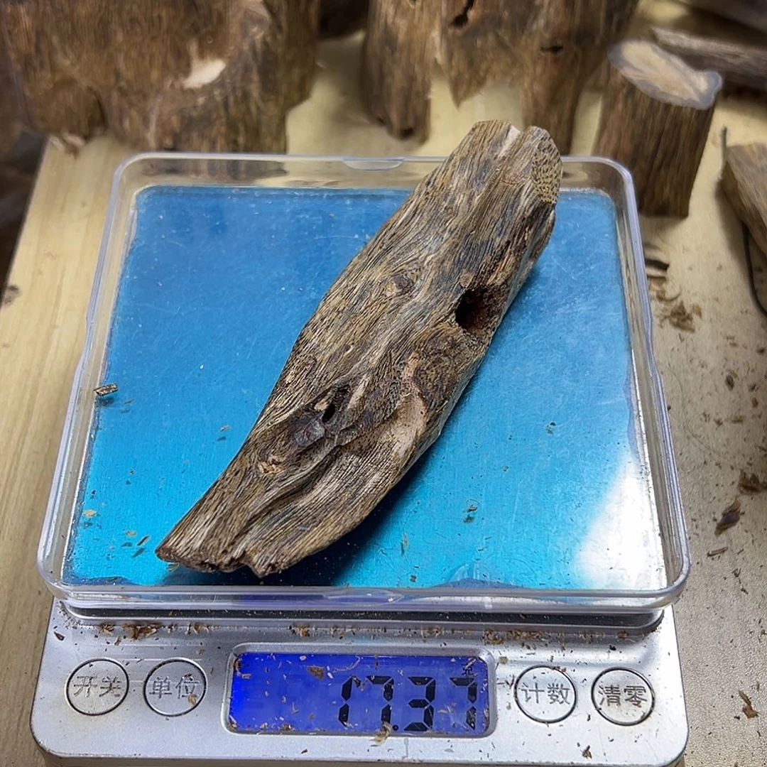 香料绿奇楠虫漏17克乌身
