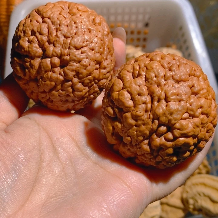 野生三瓣脑纹大金刚57正圆