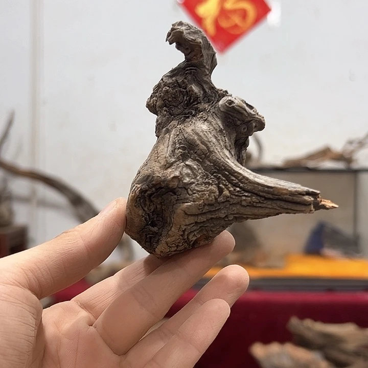 柏木?*兰我们的生活是以自己为中心而