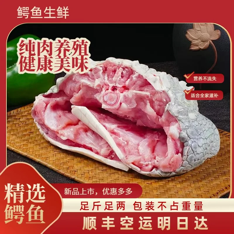 鳄鱼肉（排骨/腩  ） 顺丰空运 现杀不腥 不柴