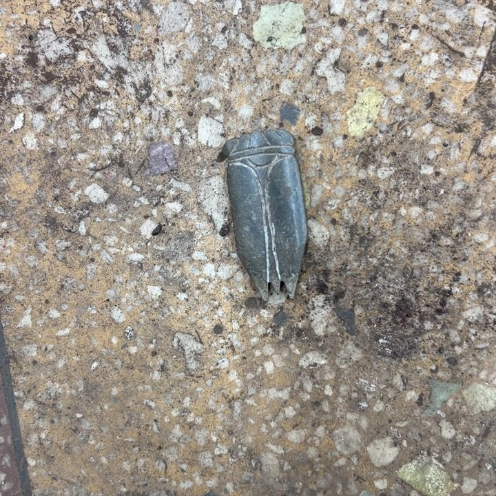 金***子和田玉（青玉）未镶嵌挂件