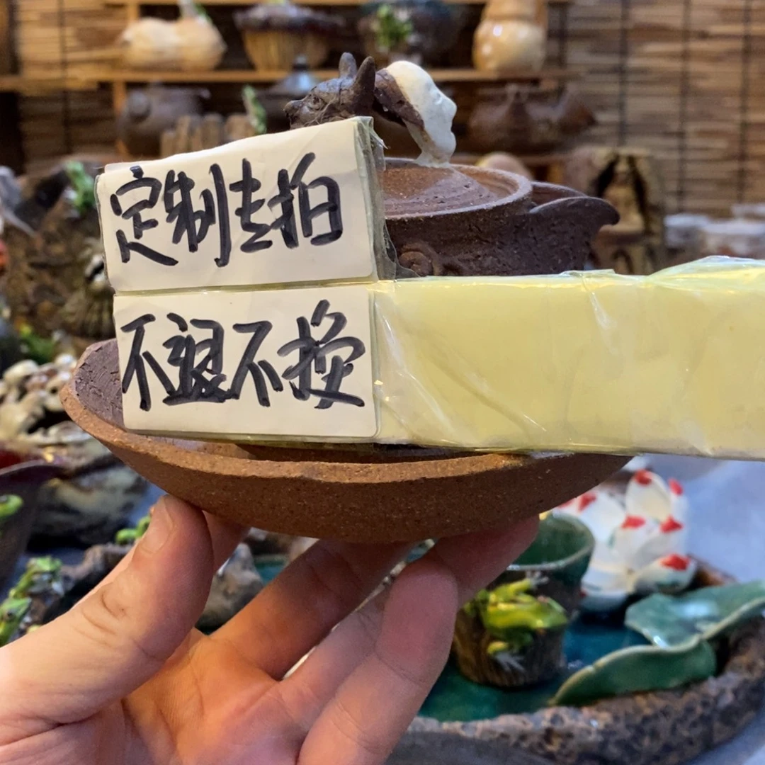 蜻***蜓陶陶陶陶陶陶陶陶陶陶