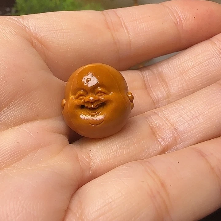 橄榄核橄榄核单粒