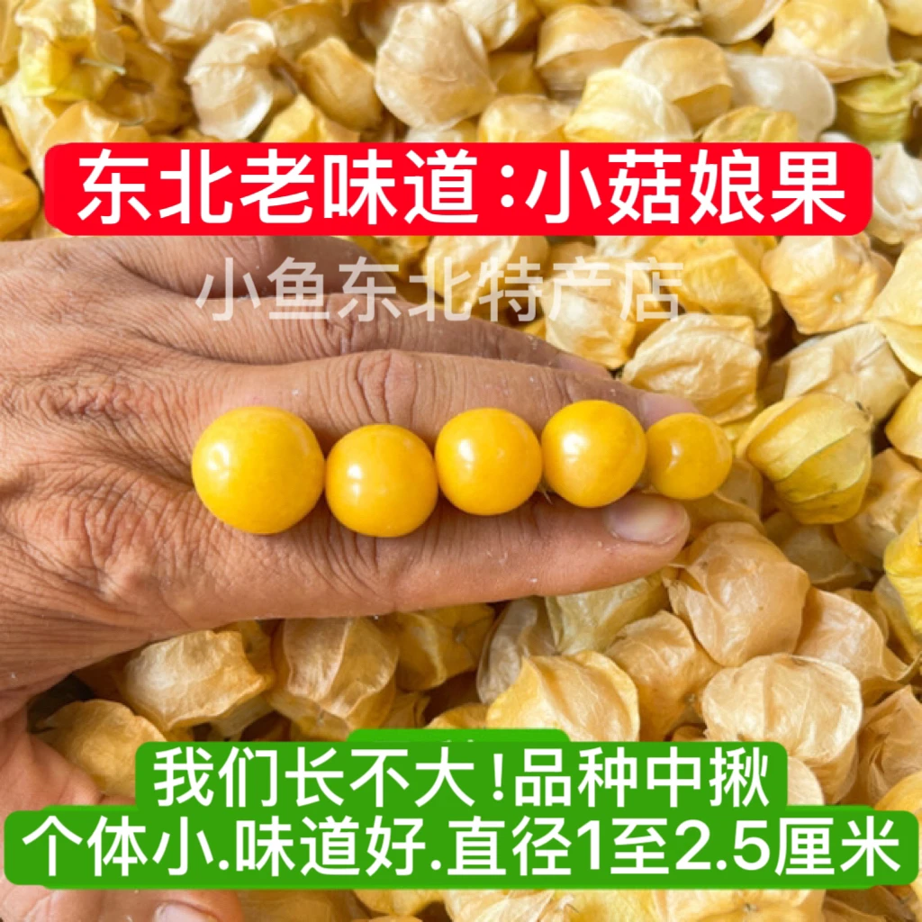 申通快递，黑龙江讷河：小菇娘果.笨菇娘.黄金豆.