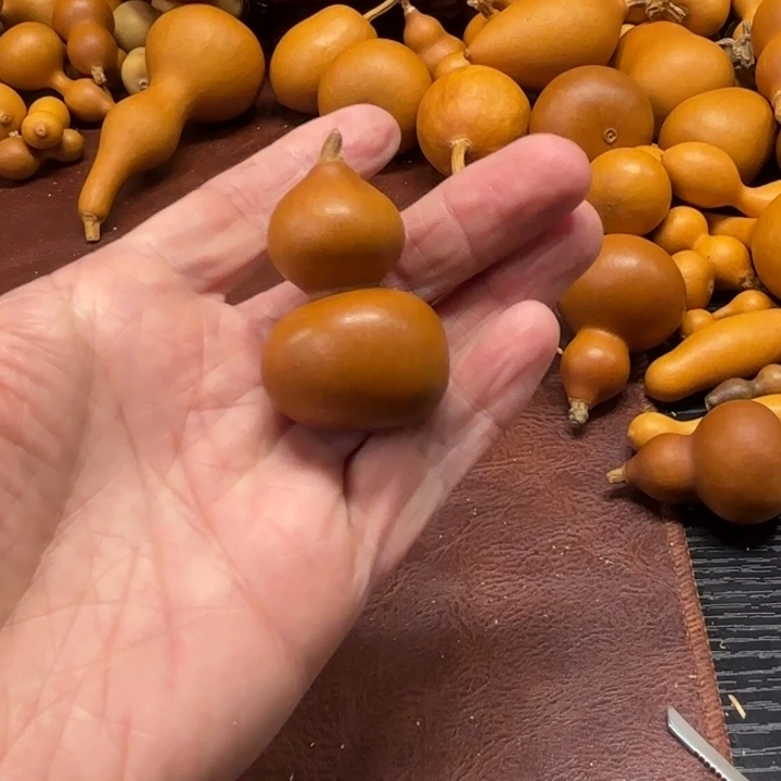 我**张我是张张的一把紫皮紫皮前袋子葫芦