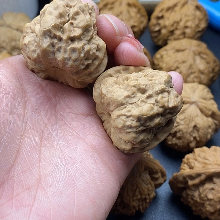 吊坠龙脊菩提蛙40
