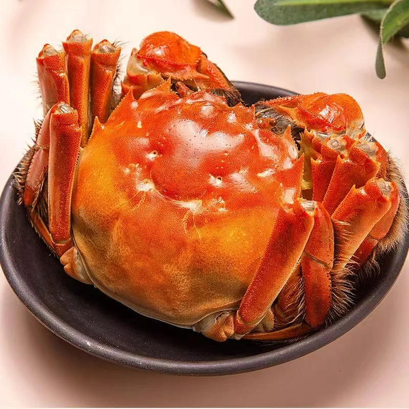 九指公蟹3.0两-4.0两母蟹2.8两-3.5两海鲜