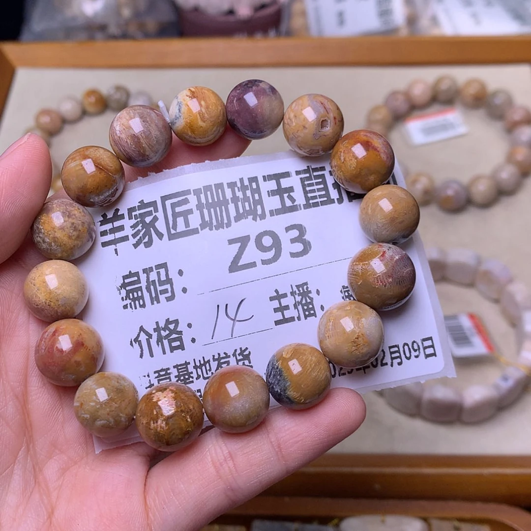 【闪购商品】硅化珊瑚（珊瑚玉）颈饰未镶嵌喵*生Z93